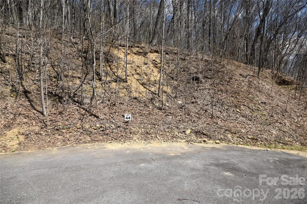 44 Prosperity Ridge #44 Waynesville, NC 28785