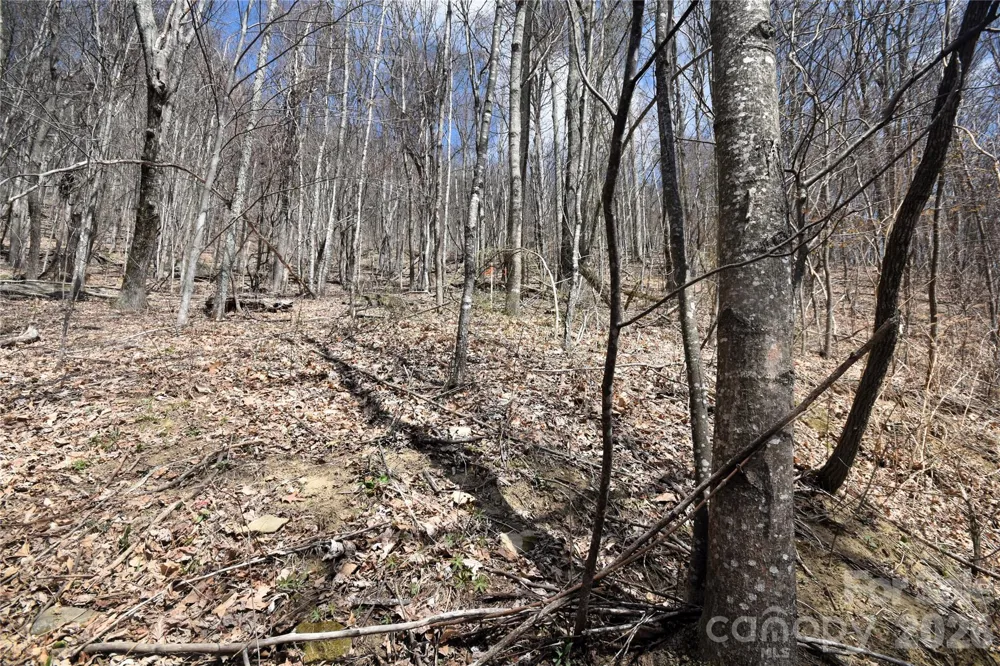 44 Prosperity Ridge #44 Waynesville, NC 28785