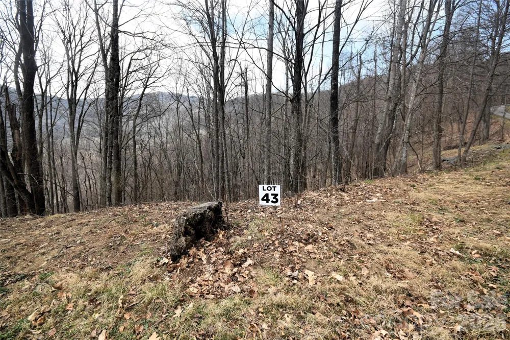43 Marble Stone Drive #43 Waynesville, NC 28785