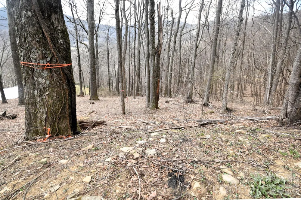 43 Marble Stone Drive #43 Waynesville, NC 28785