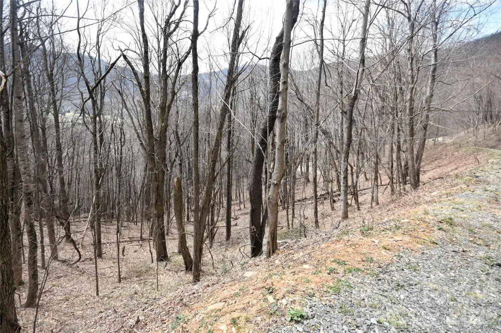 43 Marble Stone Drive #43 Waynesville, NC 28785