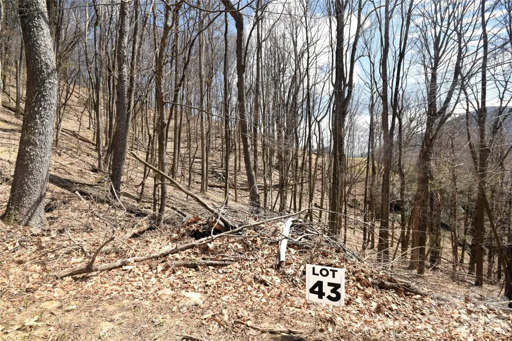 43 Marble Stone Drive #43 Waynesville, NC 28785