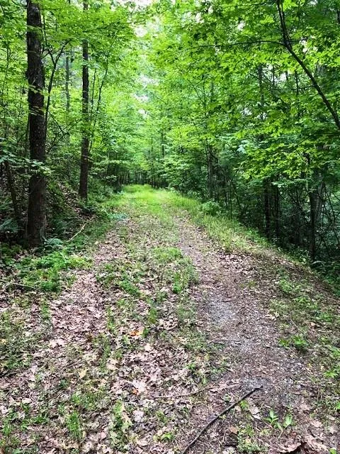 Lot 46 Lake Adger Parkway Mill Spring, NC 28756