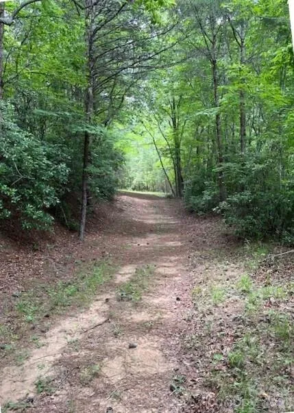 Lot 46 Lake Adger Parkway Mill Spring, NC 28756