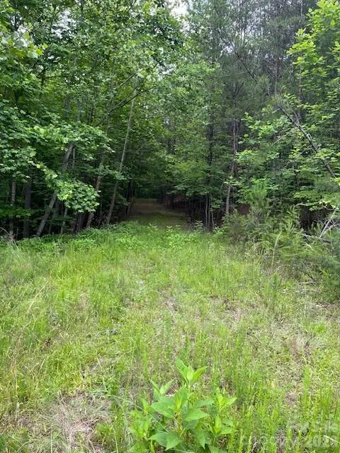 Lot 46 Lake Adger Parkway Mill Spring, NC 28756
