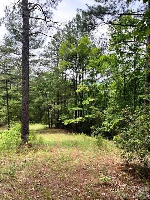 Lot 46 Lake Adger Parkway Mill Spring, NC 28756