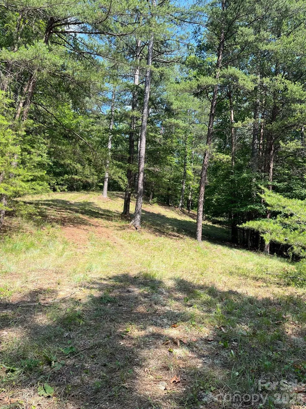Lot 46 Lake Adger Parkway Mill Spring, NC 28756