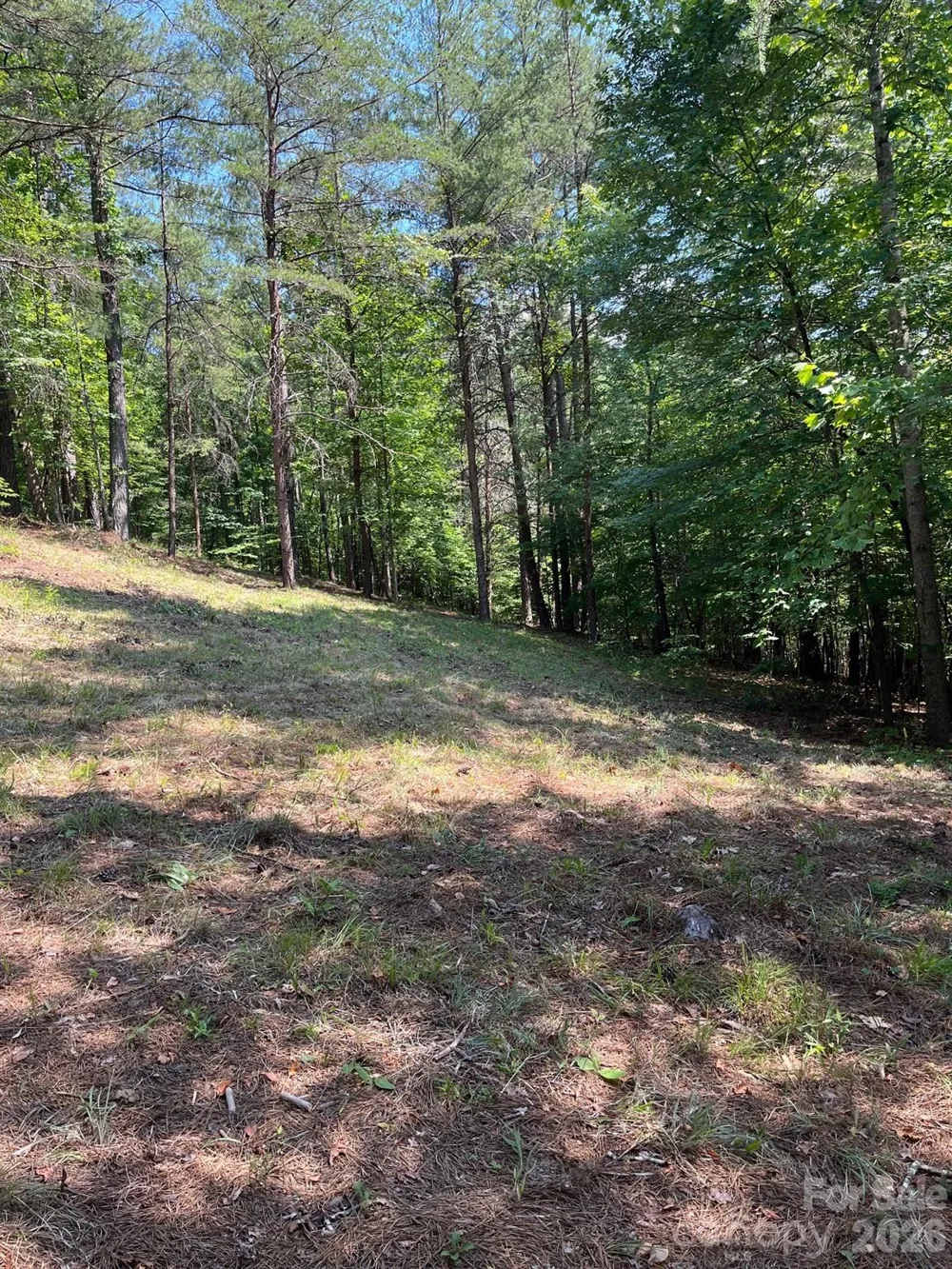 Lot 46 Lake Adger Parkway Mill Spring, NC 28756
