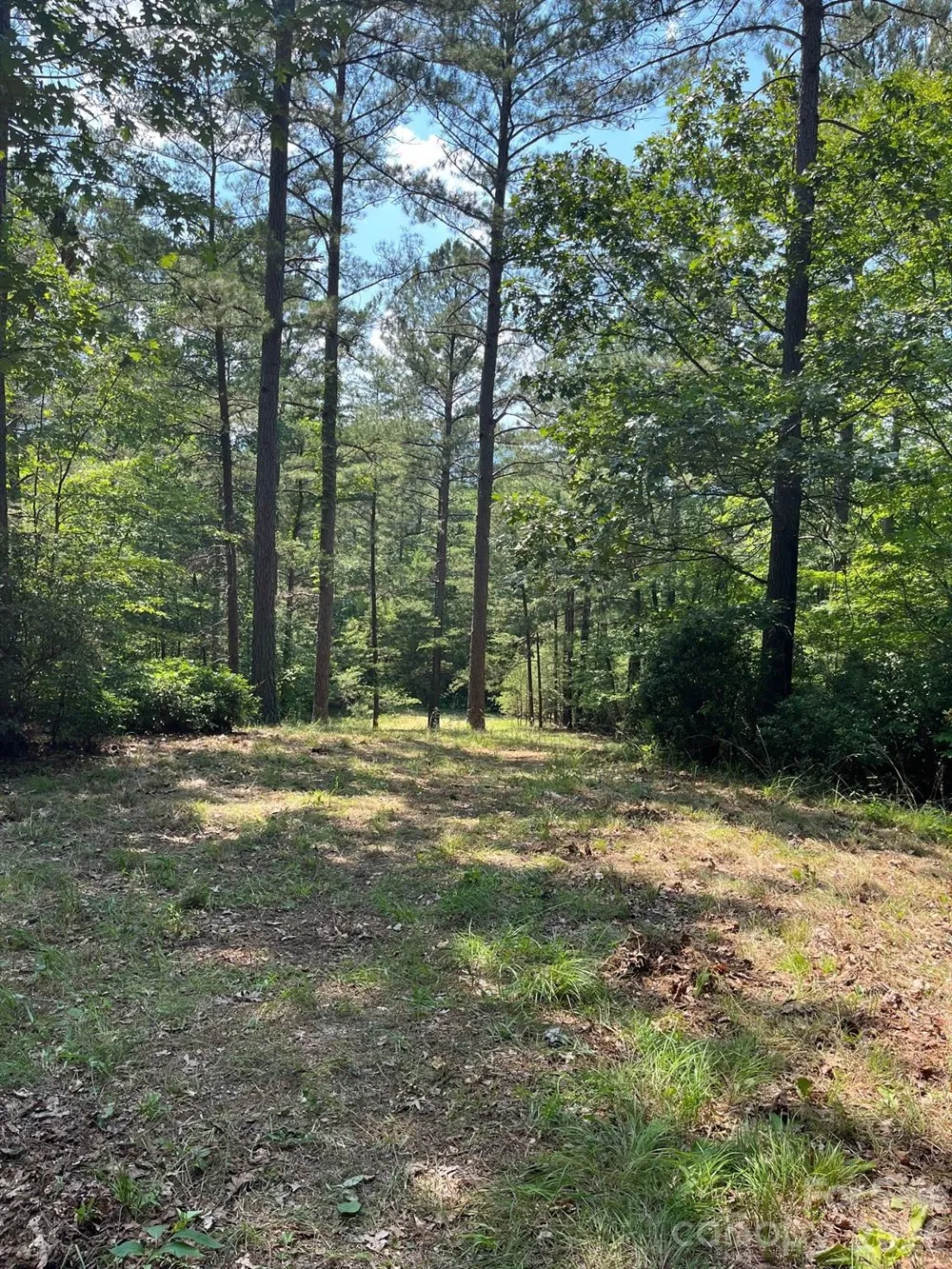 Lot 46 Lake Adger Parkway Mill Spring, NC 28756