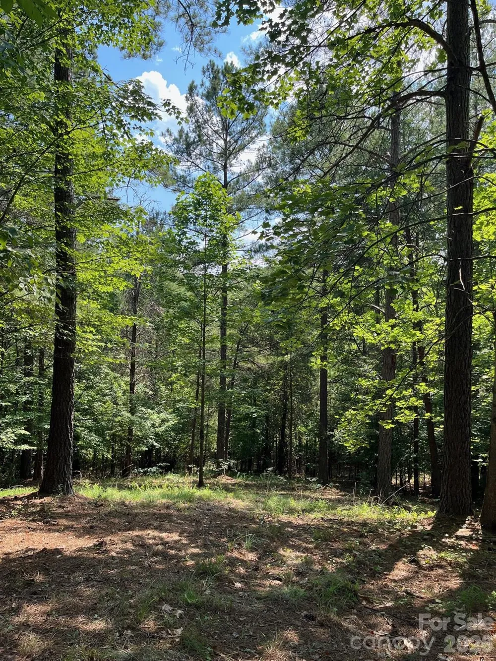 Lot 46 Lake Adger Parkway Mill Spring, NC 28756