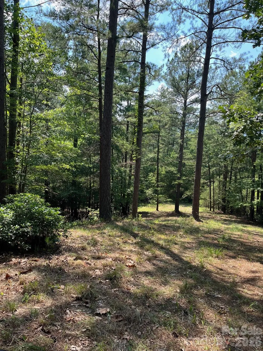 Lot 46 Lake Adger Parkway Mill Spring, NC 28756
