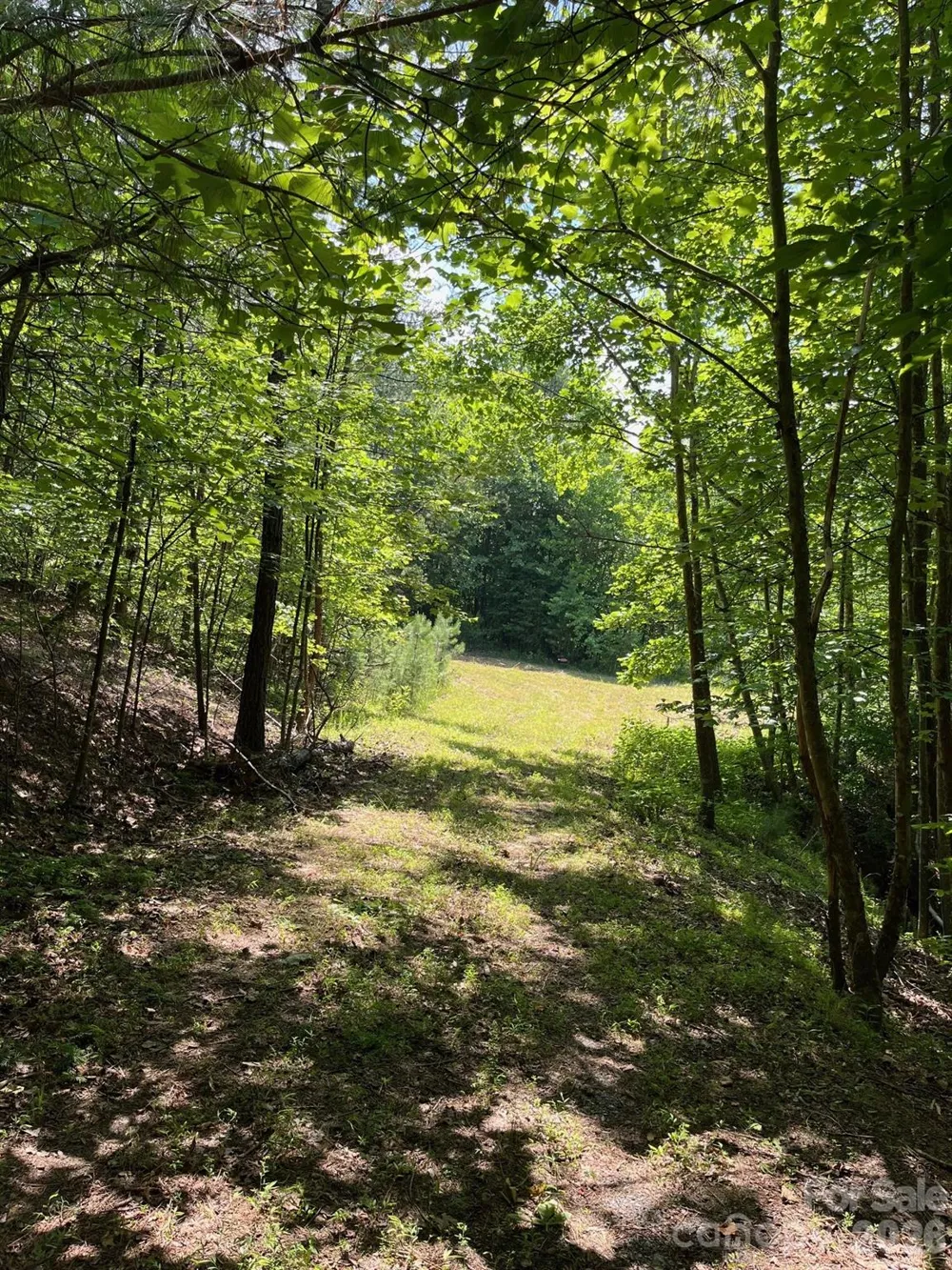 Lot 46 Lake Adger Parkway Mill Spring, NC 28756