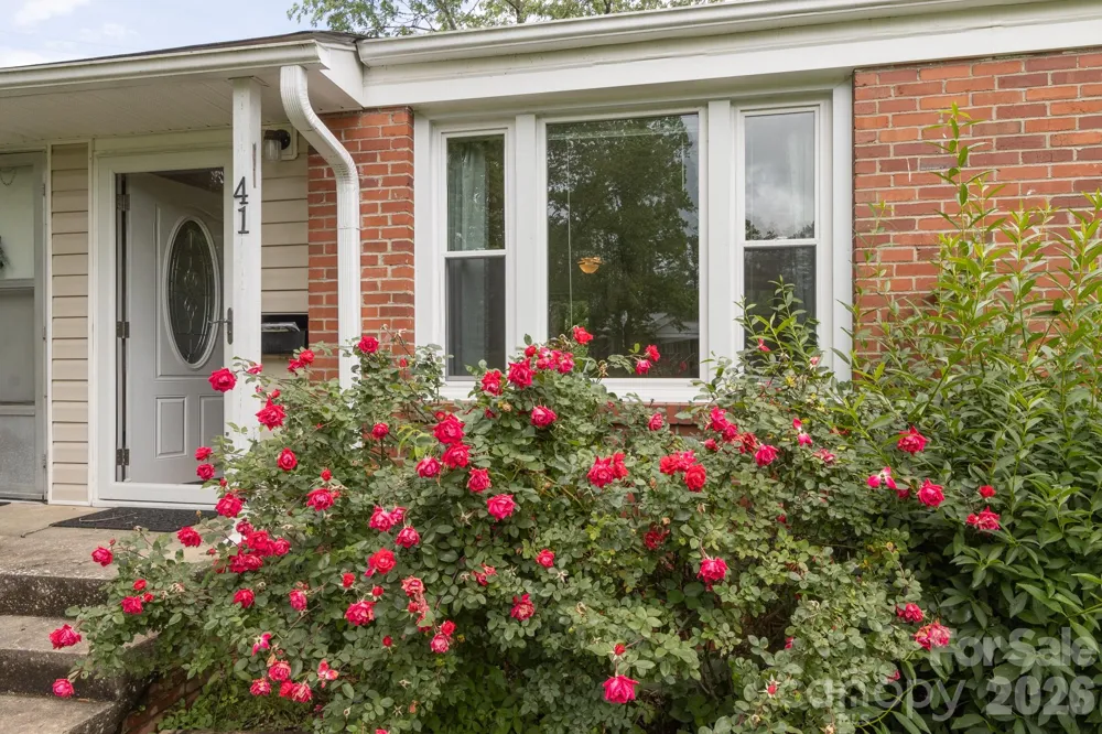 41 Trowbridge Lane Brevard, NC 28712