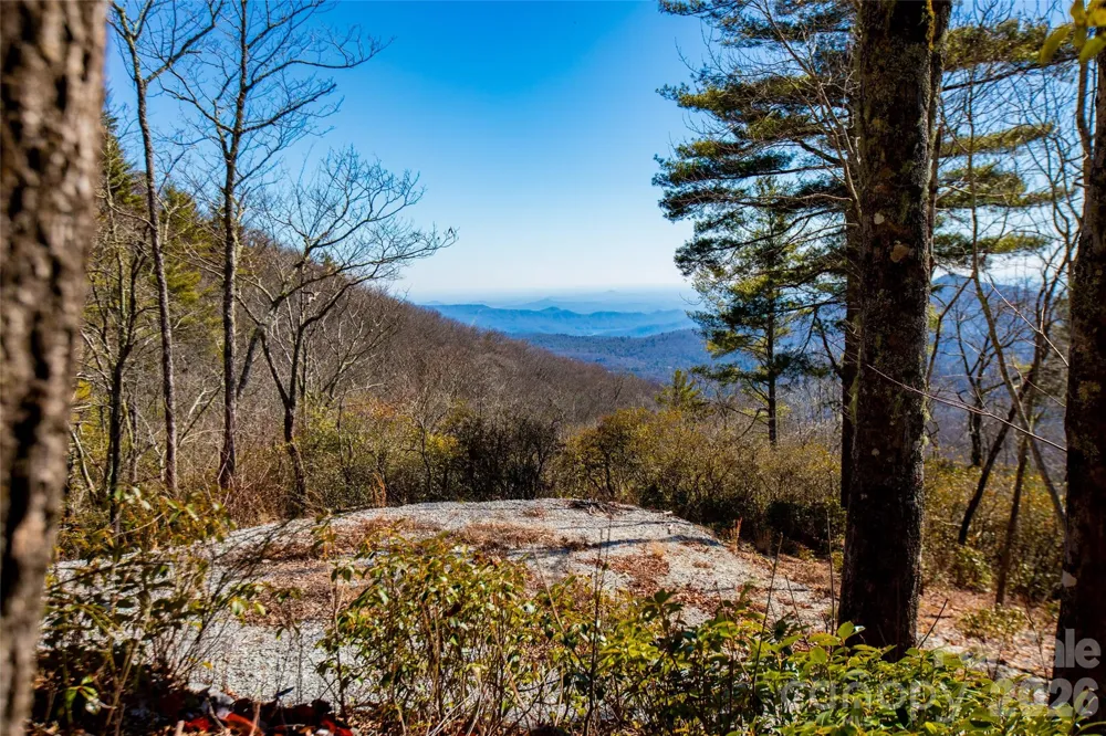 Lot 19 W Whitetail Drive Sapphire, NC 28774