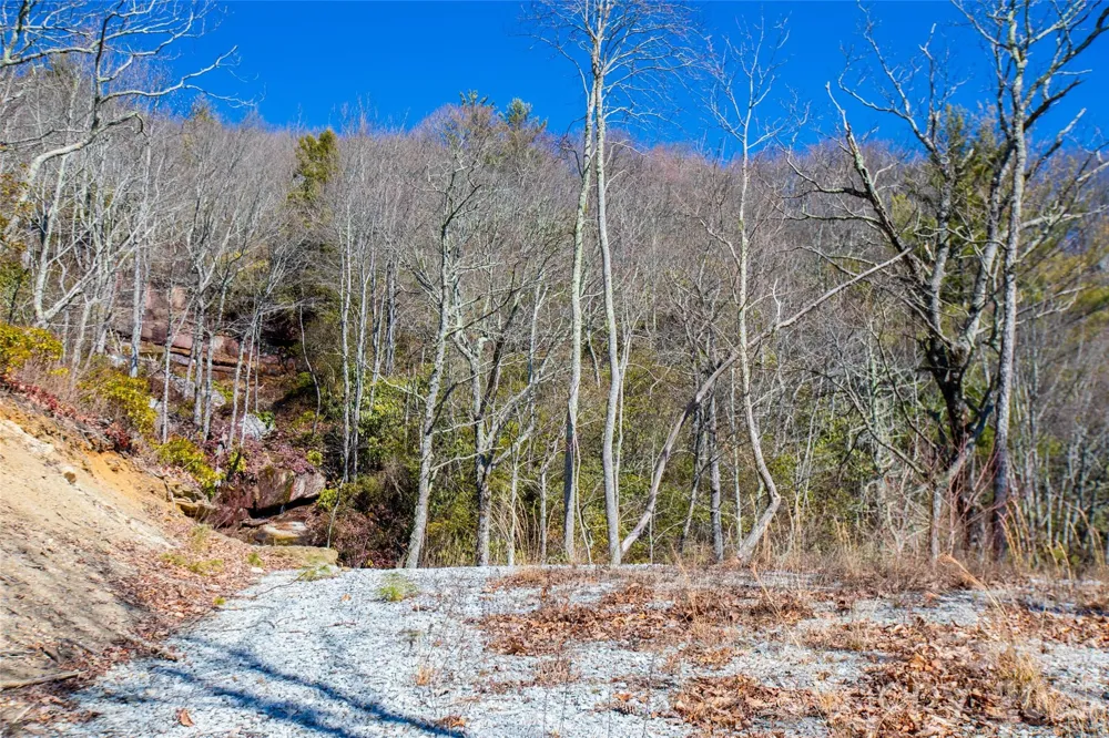 Lot 19 W Whitetail Drive Sapphire, NC 28774