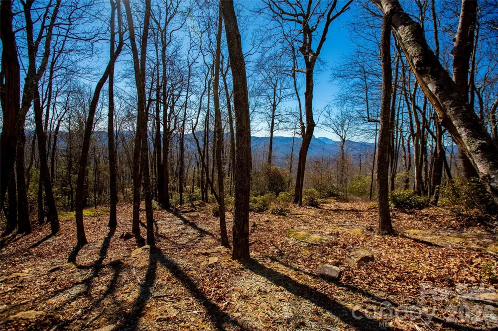 Lot 19 W Whitetail Drive Sapphire, NC 28774