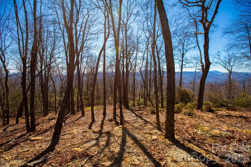 Lot 19 W Whitetail Drive Sapphire, NC 28774