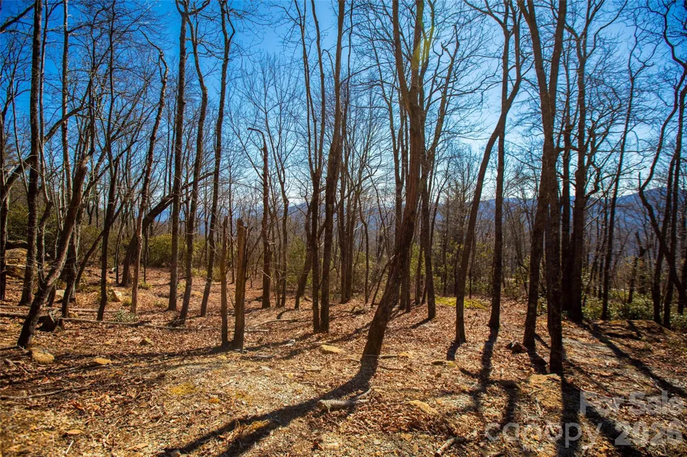 Lot 19 W Whitetail Drive Sapphire, NC 28774