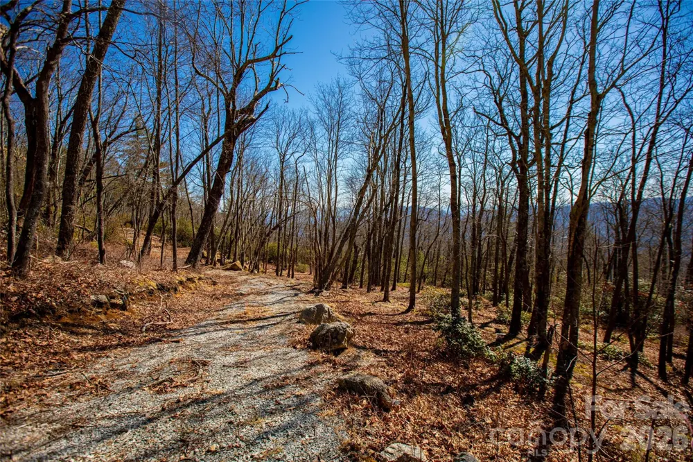Lot 19 W Whitetail Drive Sapphire, NC 28774