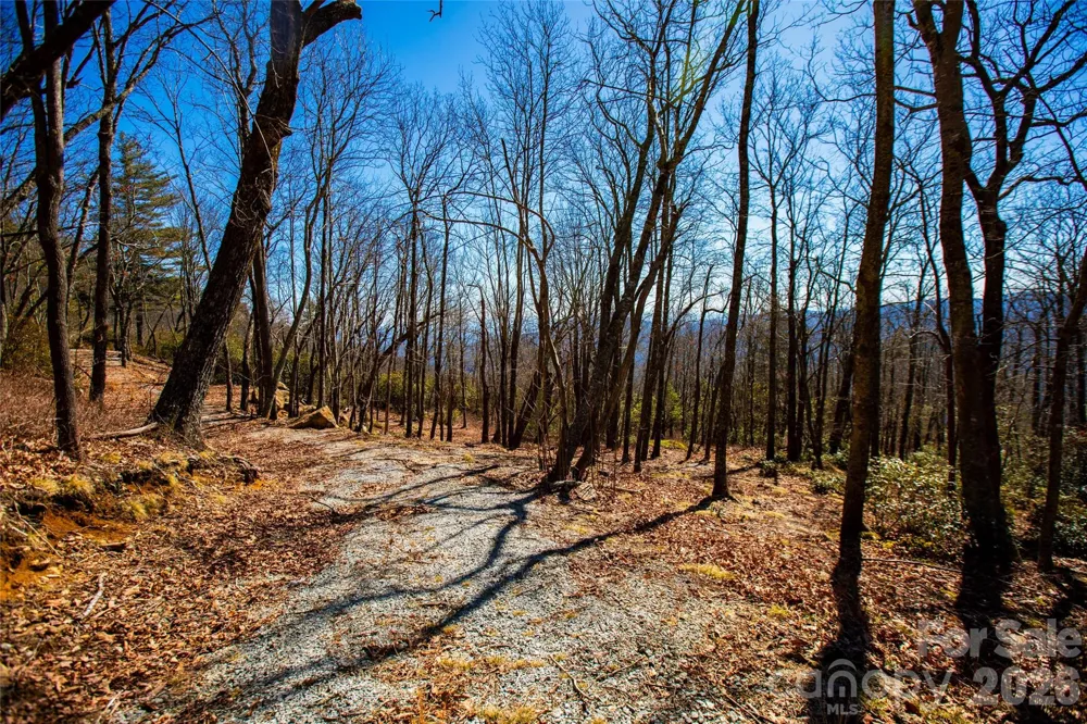 Lot 19 W Whitetail Drive Sapphire, NC 28774
