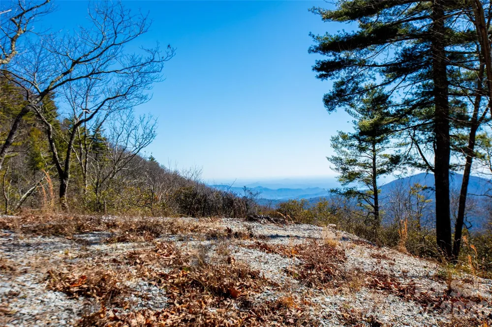 Lot 19 W Whitetail Drive Sapphire, NC 28774