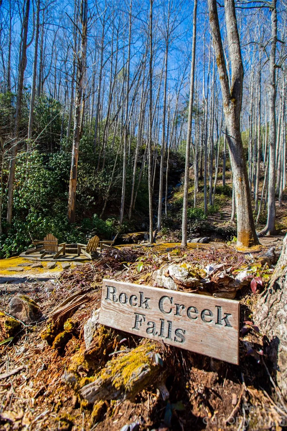 Lot 19 W Whitetail Drive Sapphire, NC 28774