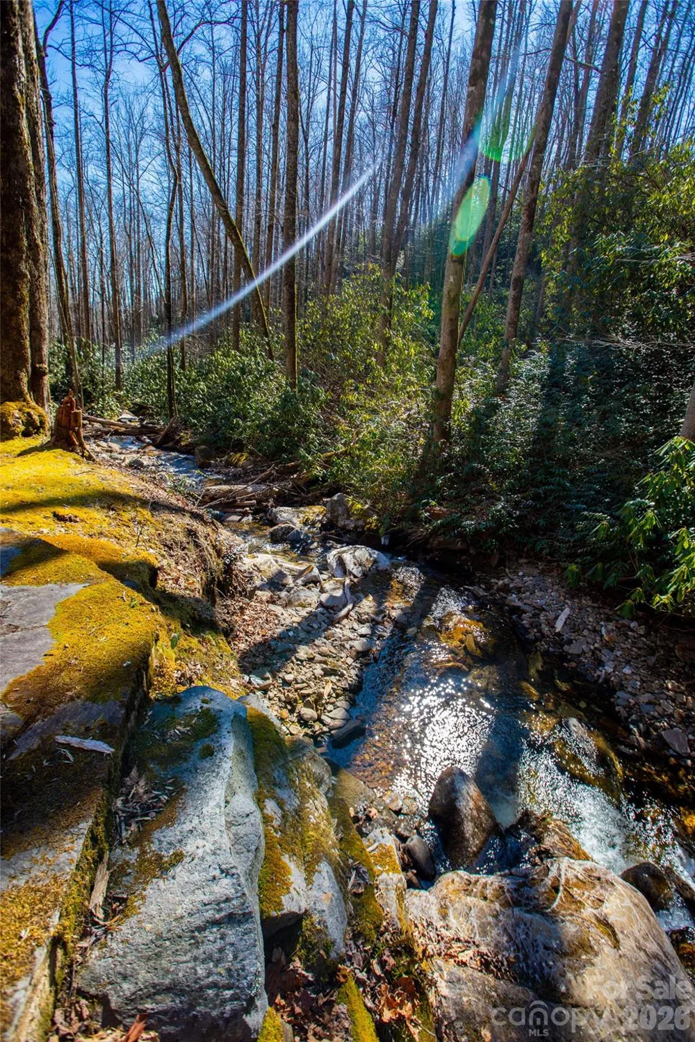 Lot 19 W Whitetail Drive Sapphire, NC 28774