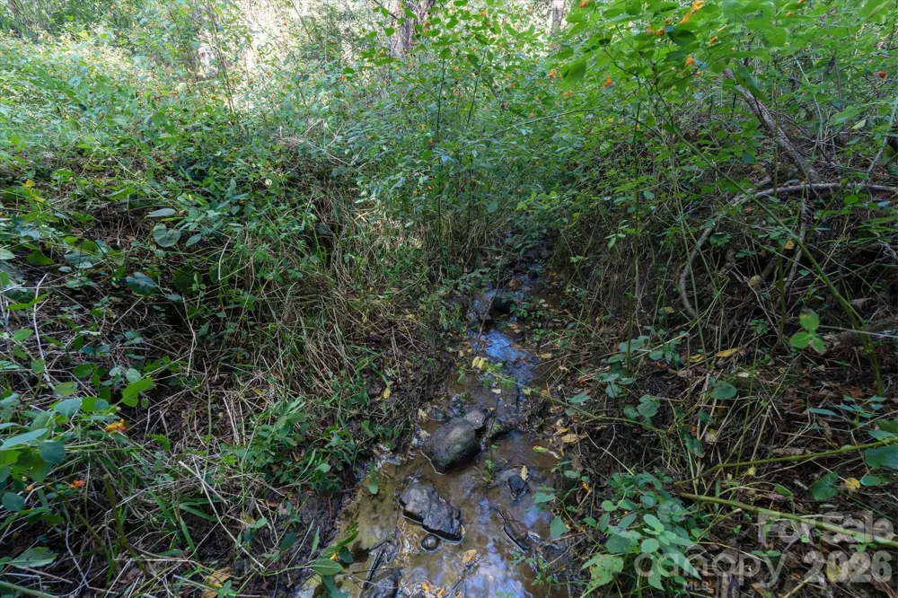 TBD Crymes Cove Road #8-A Waynesville, NC 28786