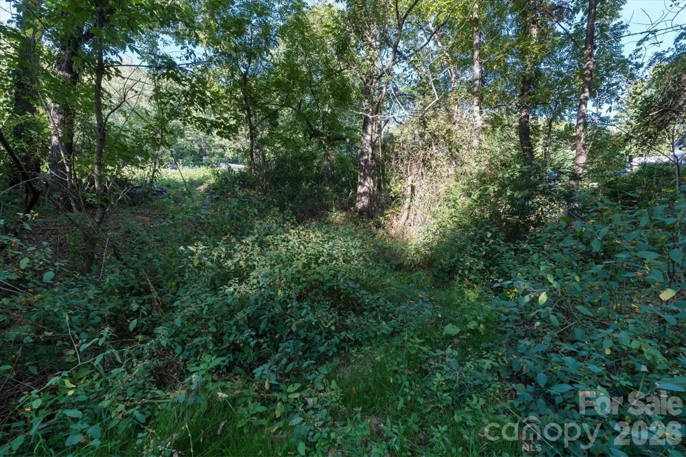 TBD Crymes Cove Road #8-A Waynesville, NC 28786