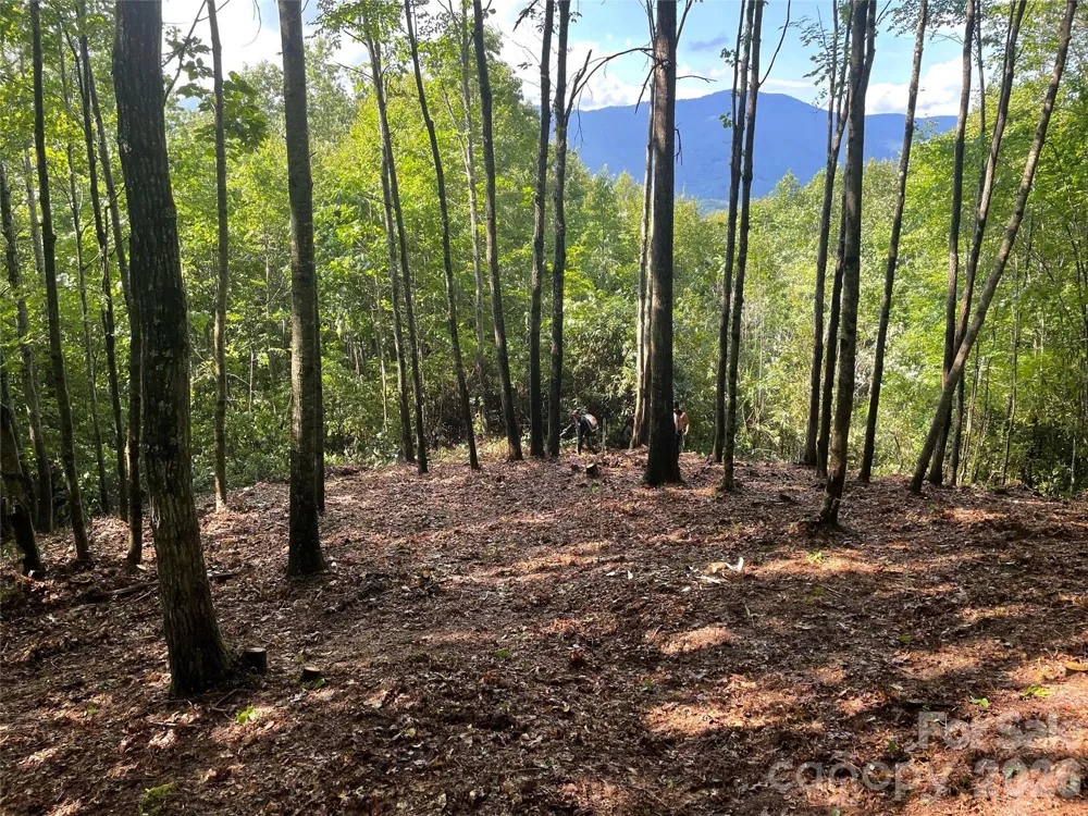 Lt 239 Down The Hill Road #239 Sylva, NC 28779