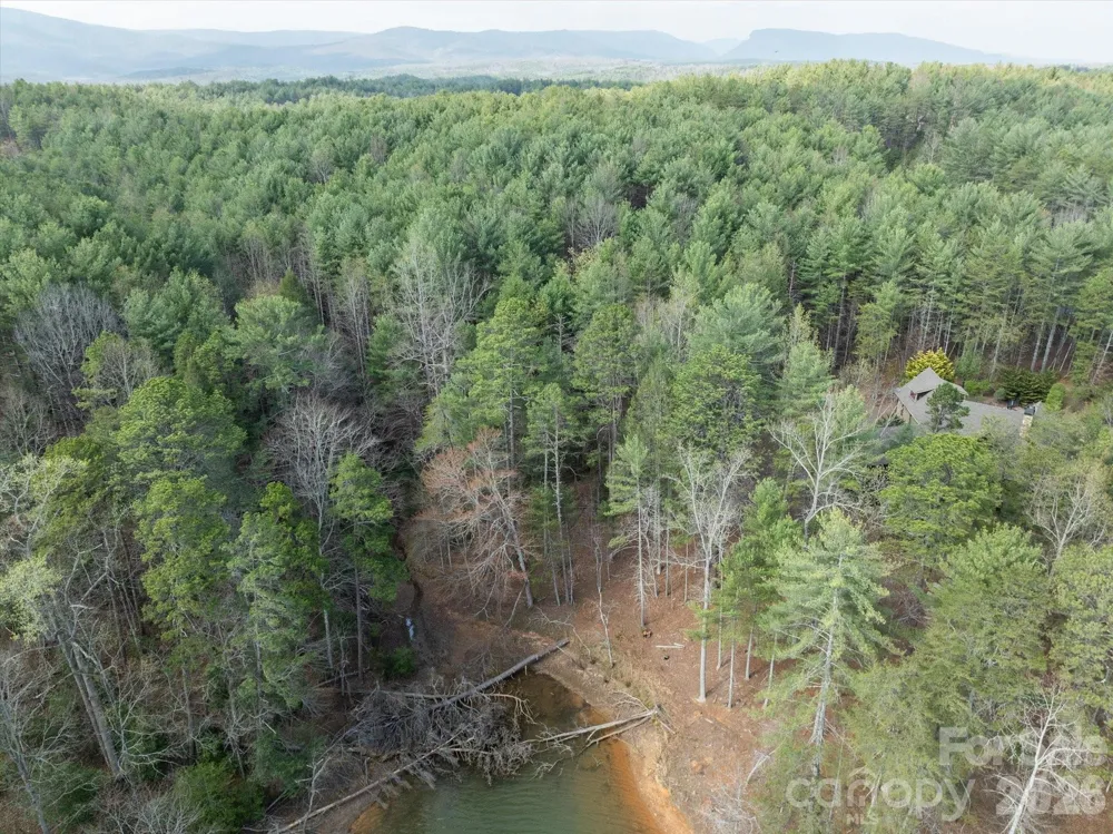 40 Turtle Head Drive Nebo, NC 28761