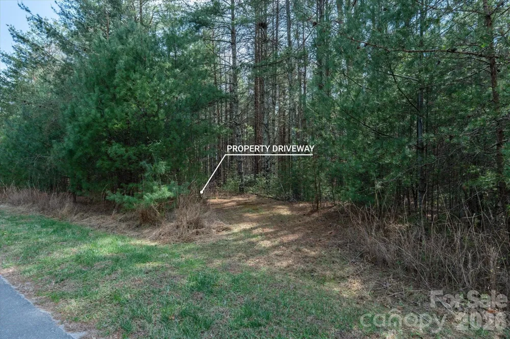 40 Turtle Head Drive Nebo, NC 28761