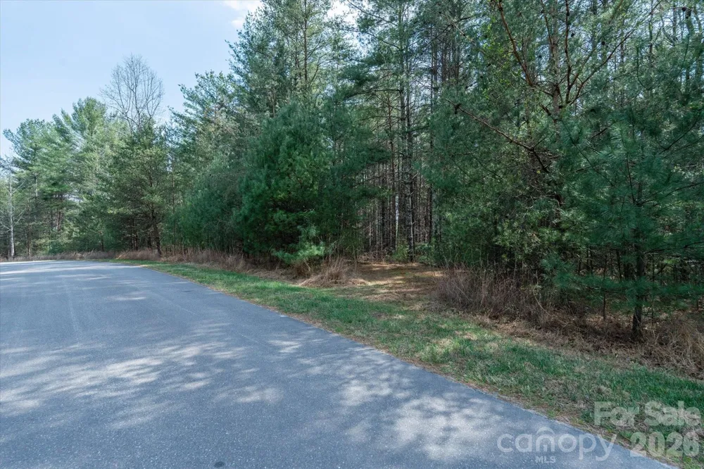 40 Turtle Head Drive Nebo, NC 28761