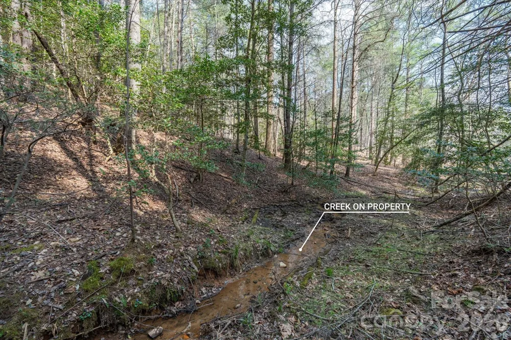 40 Turtle Head Drive Nebo, NC 28761