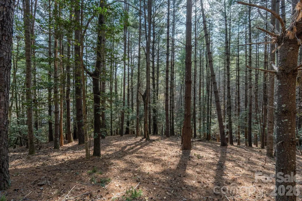 40 Turtle Head Drive Nebo, NC 28761