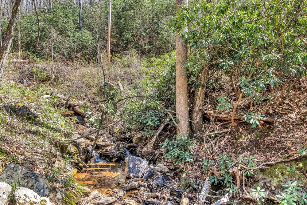 1100 Panther Branch Road Canton, NC 28716