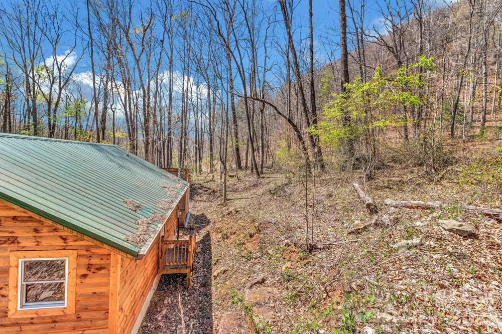 1100 Panther Branch Road Canton, NC 28716