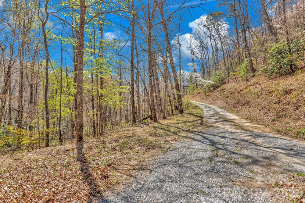 1100 Panther Branch Road Canton, NC 28716
