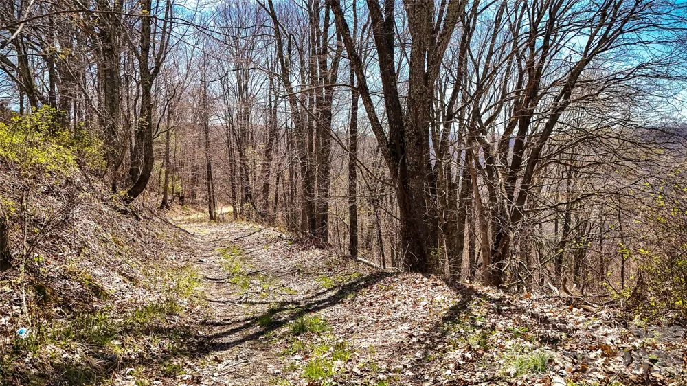 7277 Beech Mountain Road Beech Mountain, NC 28622