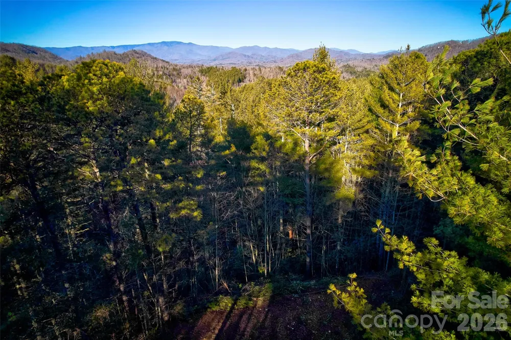 00 Piney Cove Road Bryson City, NC 28713