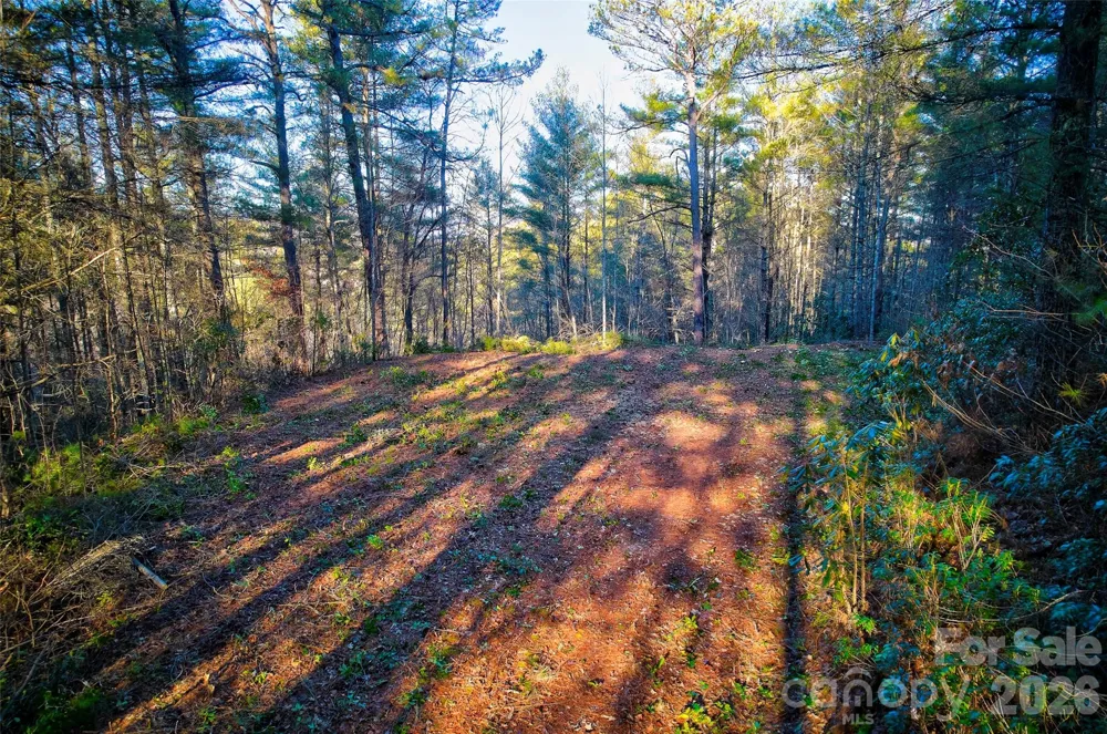 00 Piney Cove Road Bryson City, NC 28713