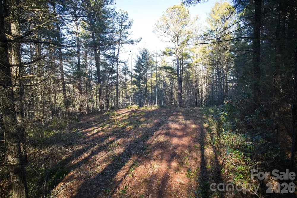 00 Piney Cove Road Bryson City, NC 28713