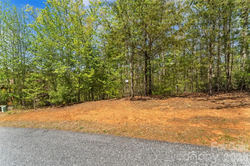 1006 High Trail Drive #32-11 Nebo, NC 28761