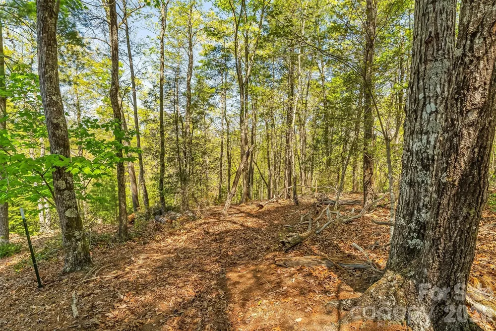 1006 High Trail Drive #32-11 Nebo, NC 28761