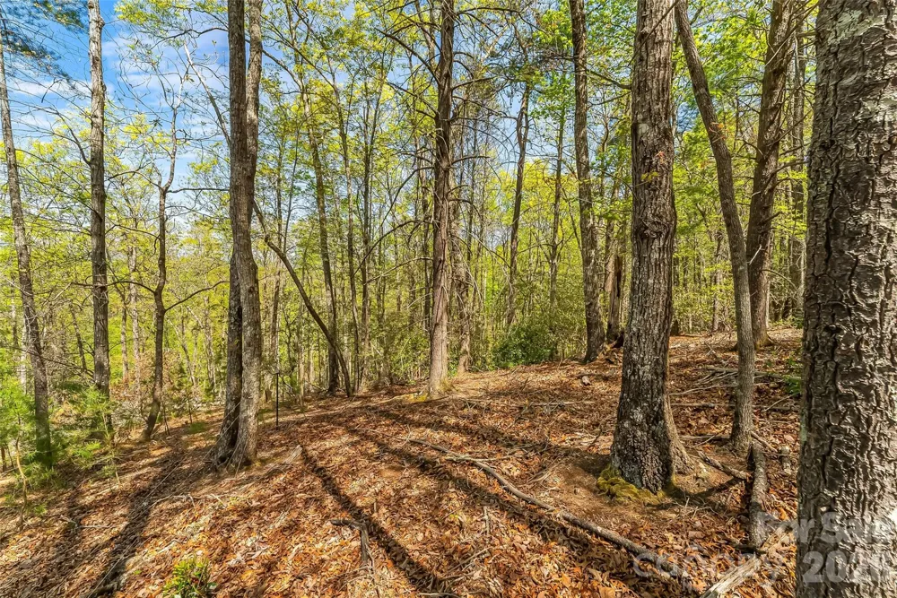 1006 High Trail Drive #32-11 Nebo, NC 28761