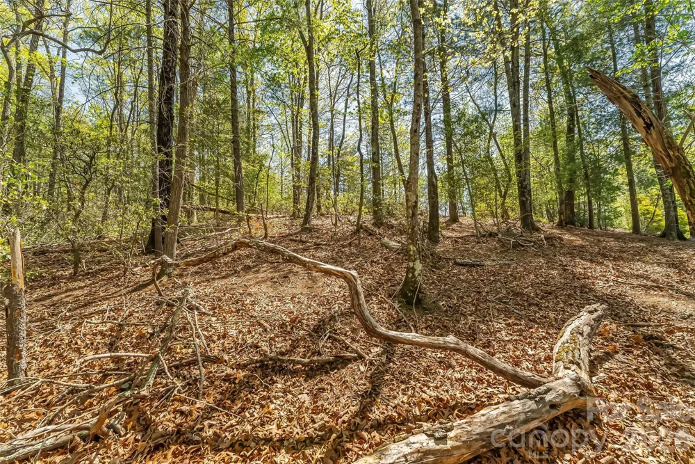 1006 High Trail Drive #32-11 Nebo, NC 28761