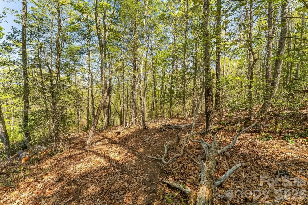 1006 High Trail Drive #32-11 Nebo, NC 28761