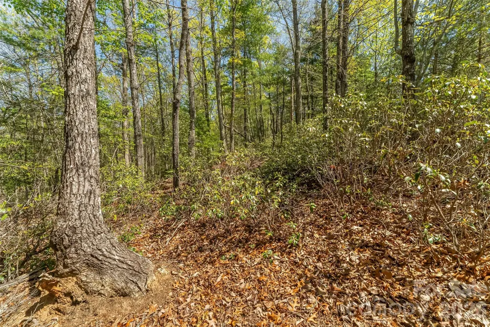 1006 High Trail Drive #32-11 Nebo, NC 28761