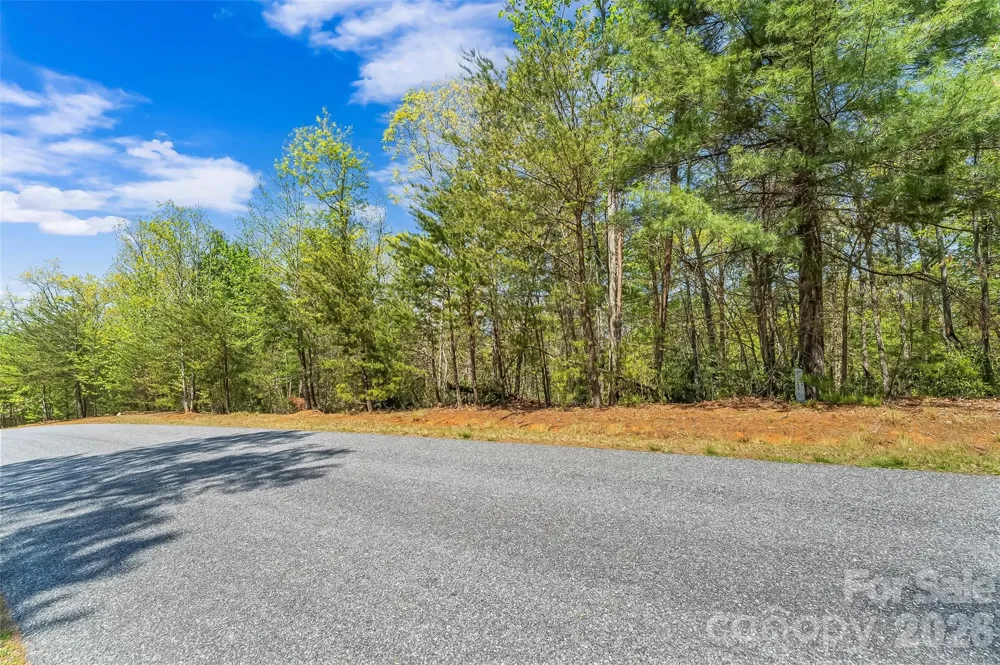 1006 High Trail Drive #32-11 Nebo, NC 28761