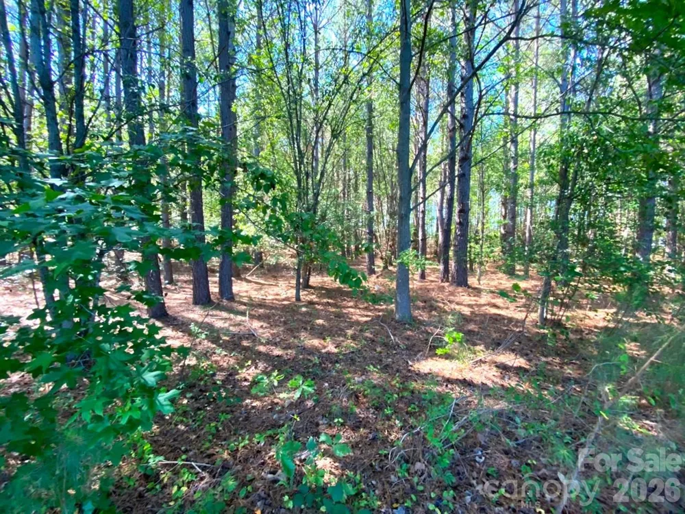 147-Lot A Baxter Road Cherryville, NC 28021